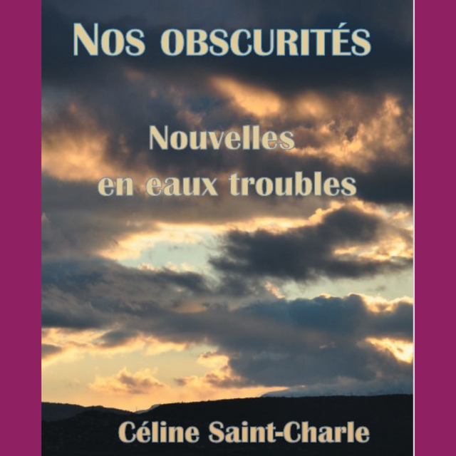 Nos obscurités - Nouvelles en eaux troubles