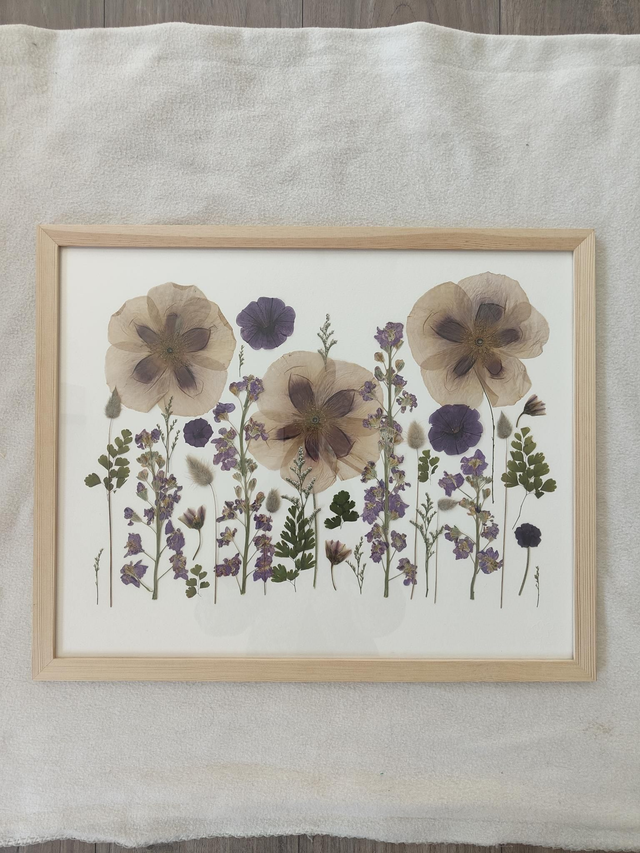 Herbier de fleurs pressées 
