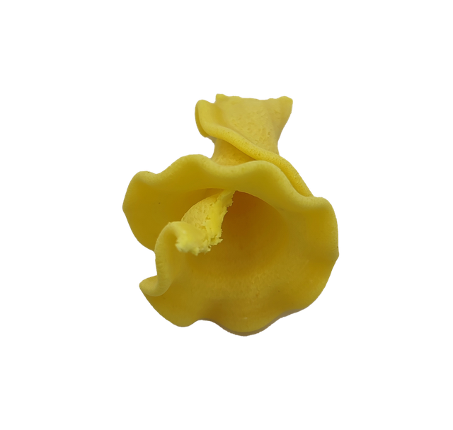 Campanelle (1 Kg)