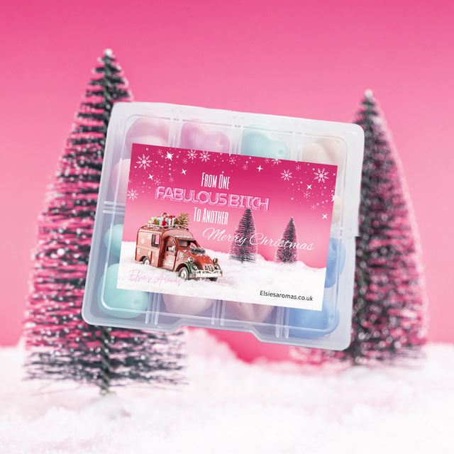 CHRISTMAS GIFT BOX FROM ONE FABULOUS B*TCH TO ANOTHER