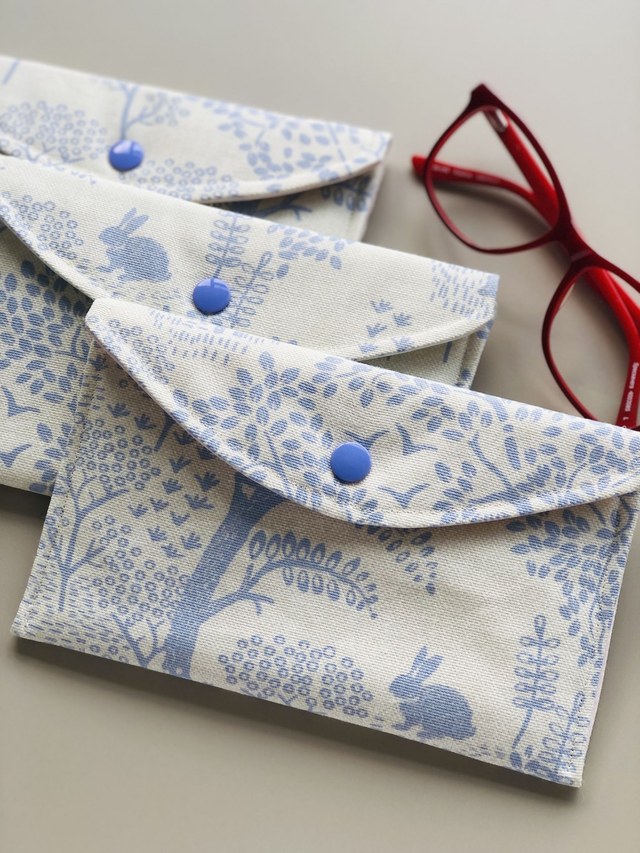 Soft padded glasses case   