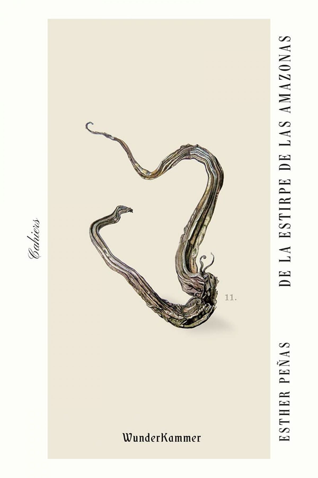 De la estirpe de las amazonas - Esther Peñas