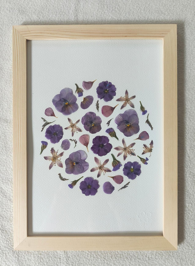 Herbier de fleurs pressées 