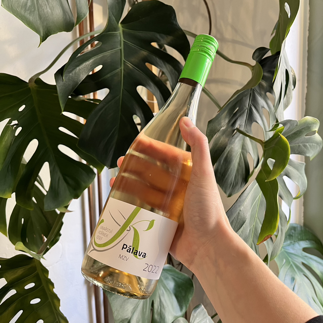 Pálava (J.Kořínek)