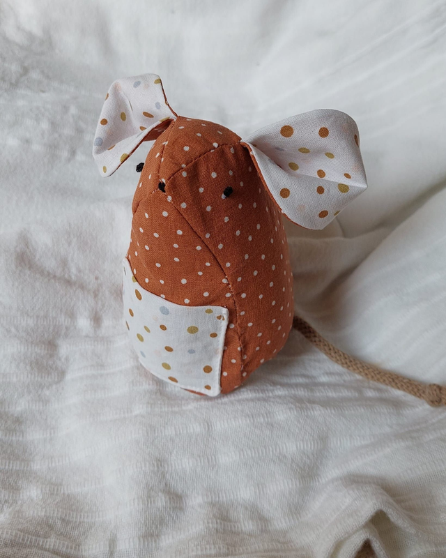 La petite souris des dents de lait  