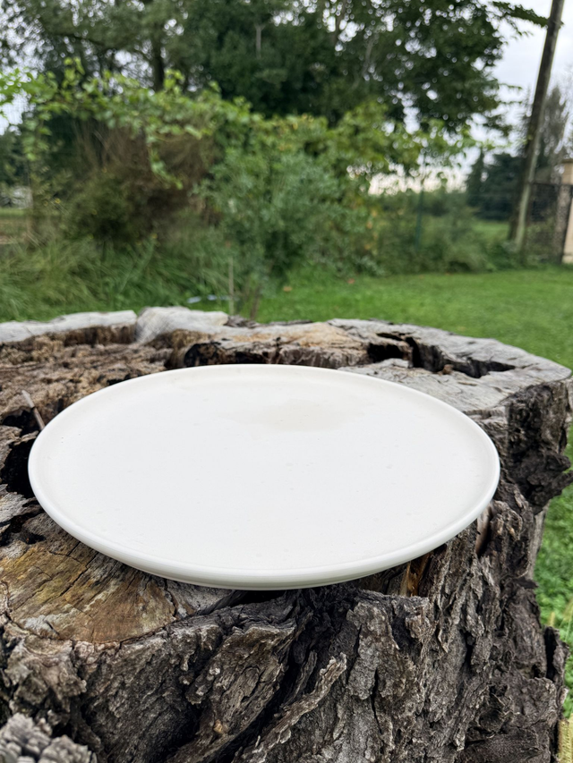 Assiette à pizza 33 cm