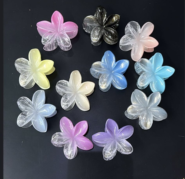 Ombré Hair Clips