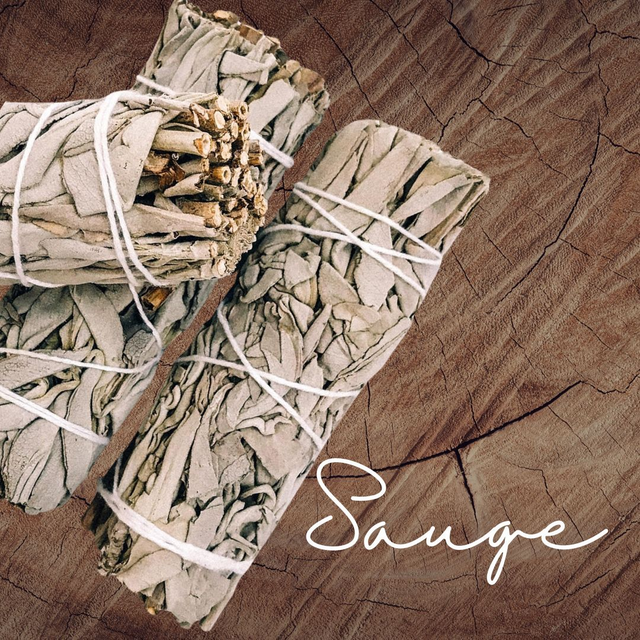 bâton de Sauge Blanche de Californie 10cm 