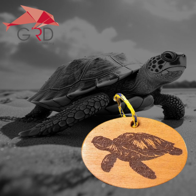 Schlüsselanhänger-Schildkröte