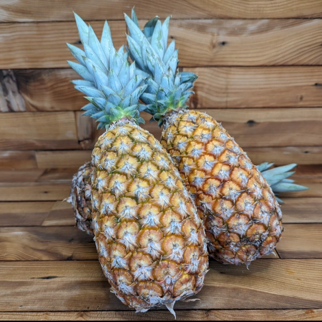 Ananas Pain de sucre 