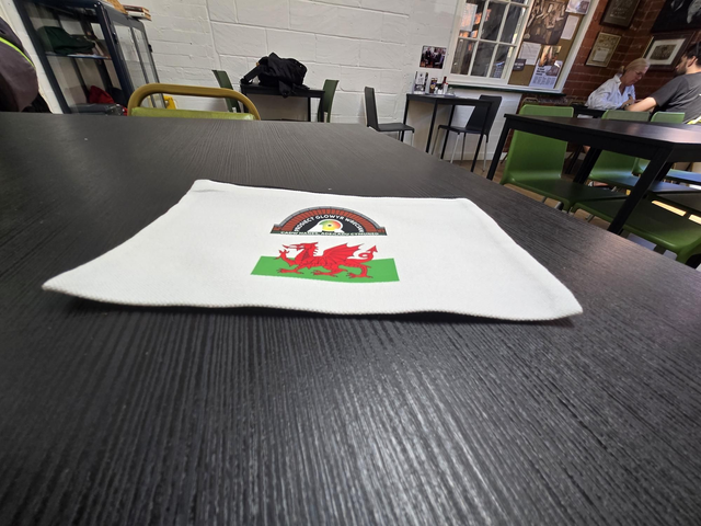 Pencil case Welsh