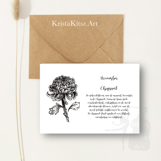 Ansichtkaart November Chrysant met tekst | inclusief envelop of postkaart | zwart wit tekening illustratie