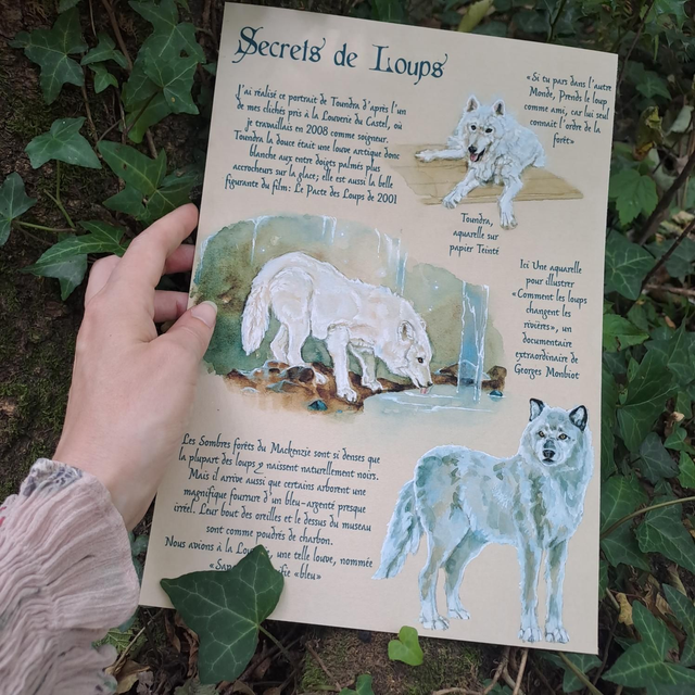 Affiche ✨️Secrets de Loups✨️