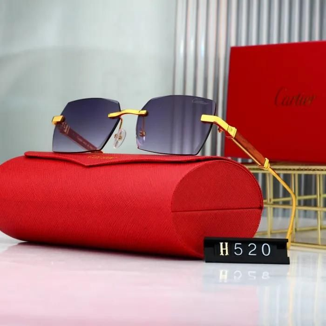 Lunette CRT luxe et fashion mixte