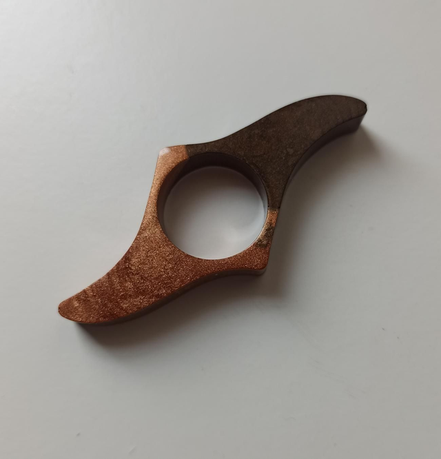 Bague de lecture (15)