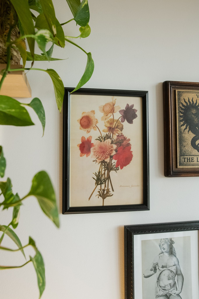 Florae Obscura 🥀 Cadre revalorisé