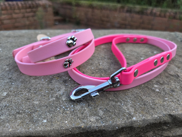 Silver paw biothane collars and leads