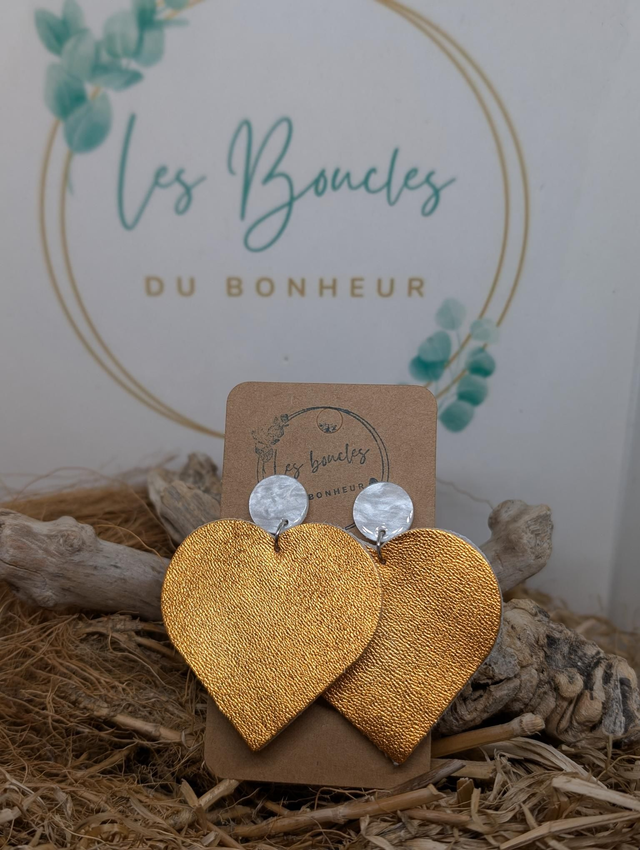 Coeur dc003