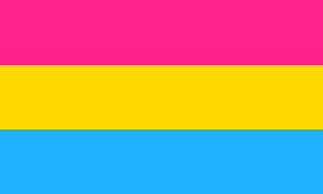 Pansexual Pride Flag 