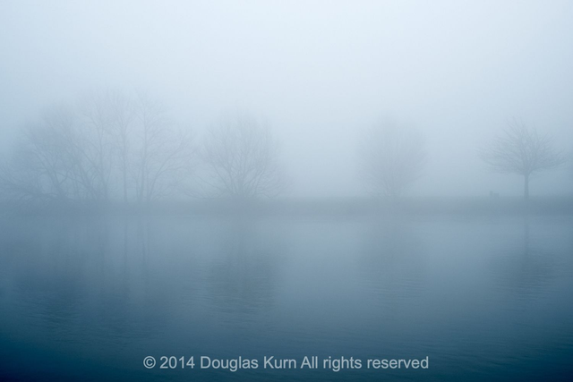 Misty Trees, Dumsey Meadow