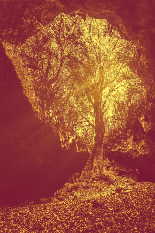 Quoi qu'il en soit, il y a toujours une voie vers le ciel