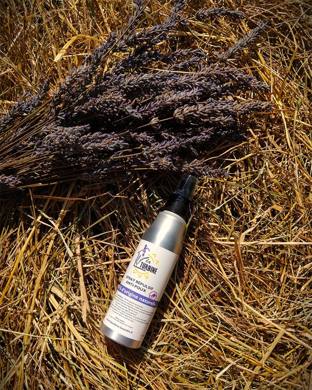 Spray répulsif anti- poux