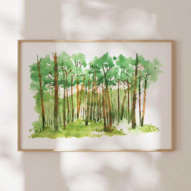 Sosny z Kamieńczyka