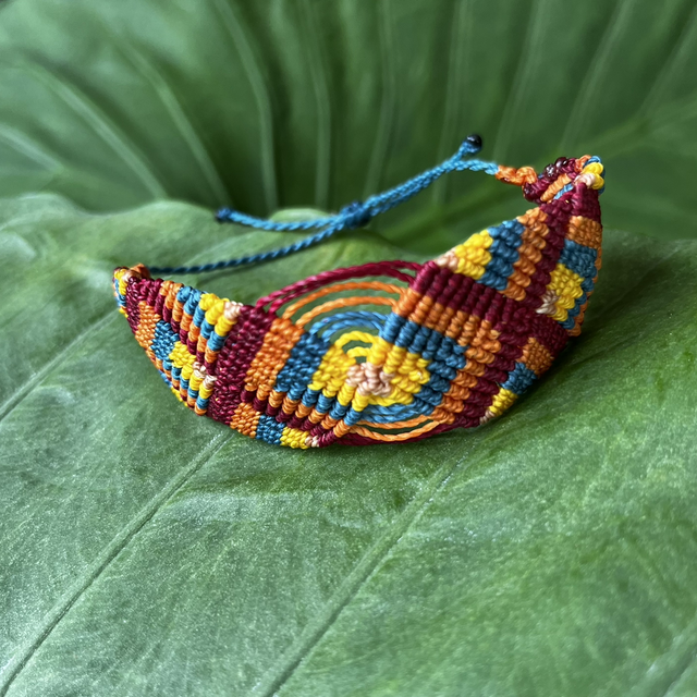 Manchette multico vive