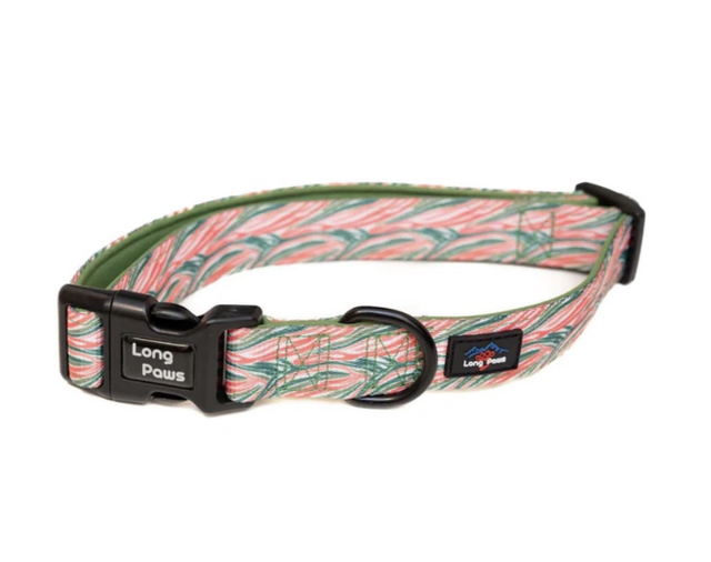 Funk The Dog Collar - Pink/Green Zebra