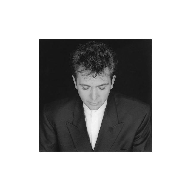 Peter Gabriel - Shaking The Tree [CD]/VSN