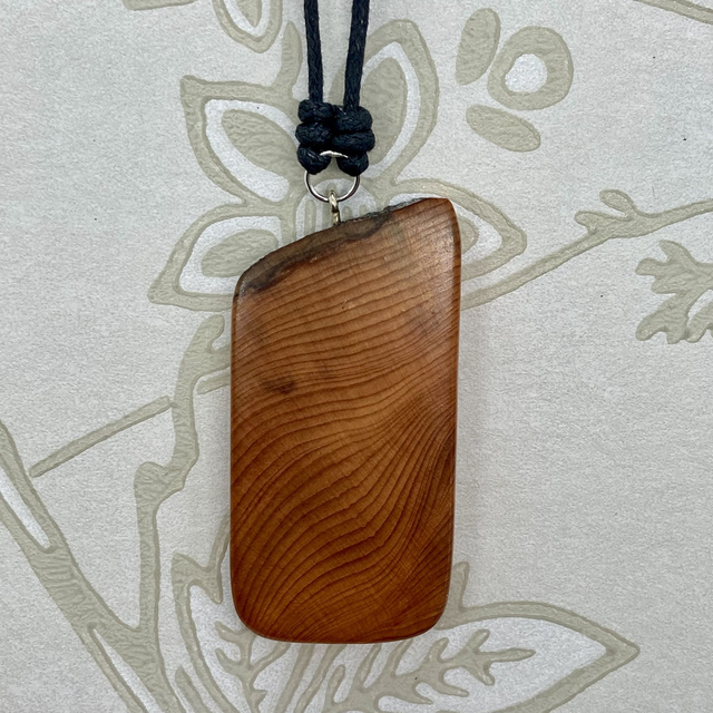 Yew - Simple rectangular pendant - I was from the offcuts bin [011-0040]