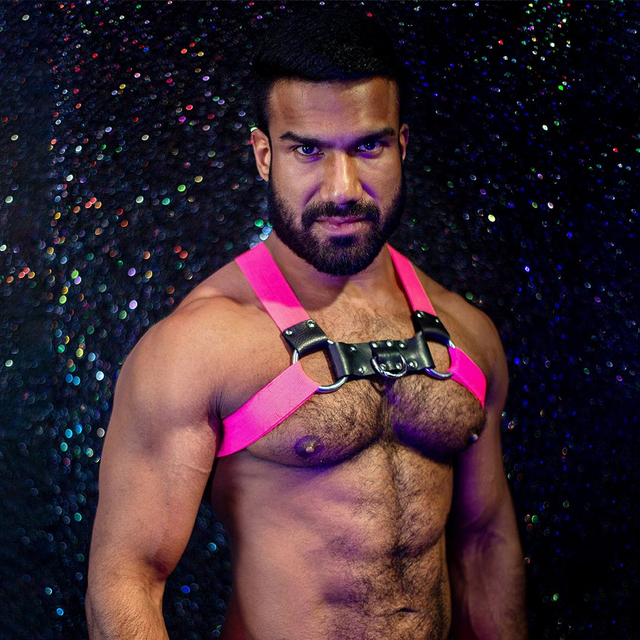 Pink Chest Harness