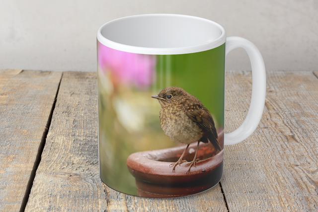 “Baby Robin” Mug