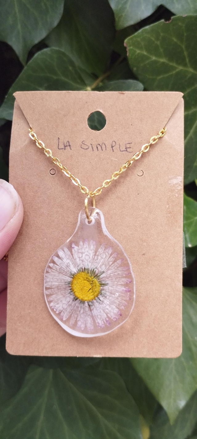 Végétalisman - La simple 