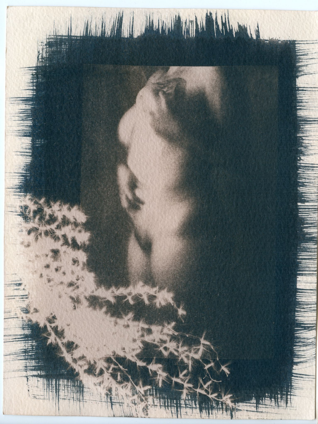 A5 repro cyanotype- CBL Clothilde BERTIN LALANDE