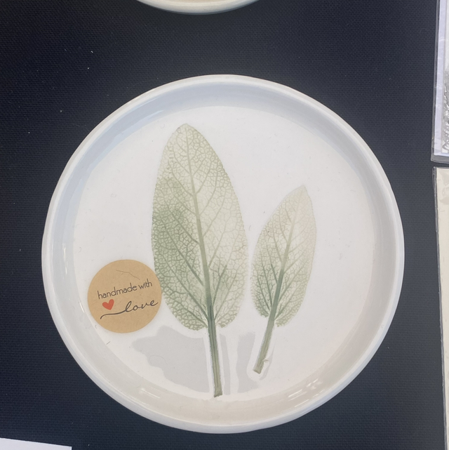 Piattino botanico salvia -1