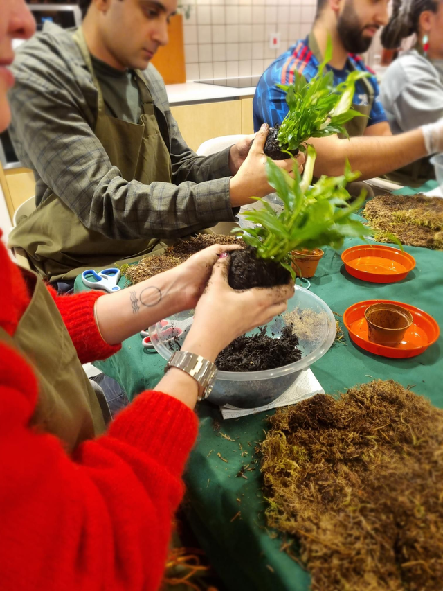 Kokidoki Kokodama workshop 15th Jan 6.30-8.00pm