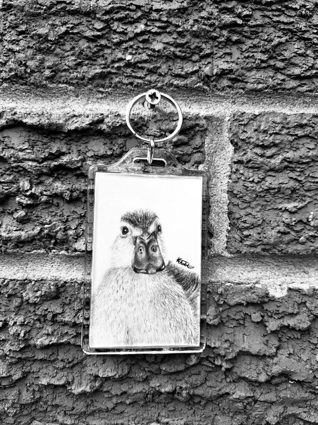 Dottie Ducking Keyring