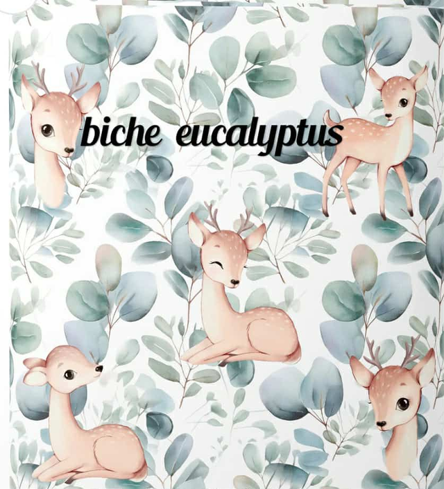 BICHE EUCALYPTUS
