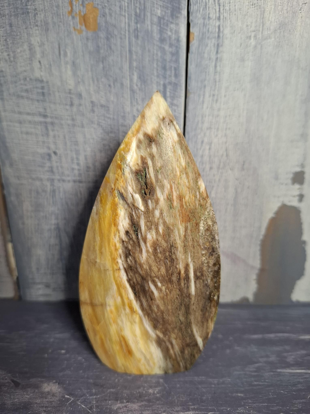 Petrified Wood Teardrop 