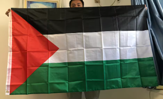 Grote vlag Palestina (150 bij 90cm)