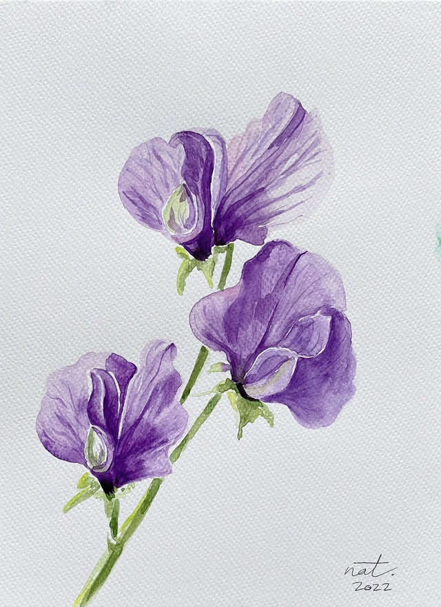 LIRIOS. Natalia Dávila.