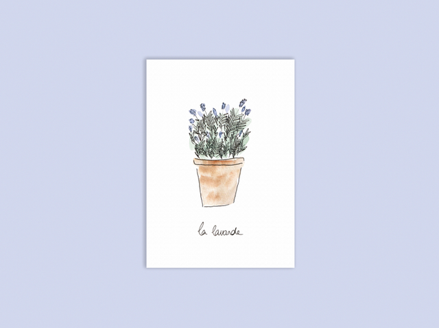 Carte lavande