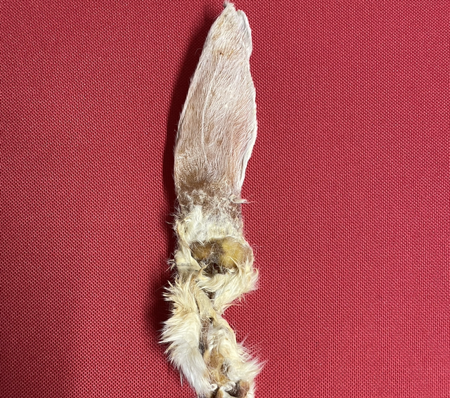 3 rabbit ears with fur 