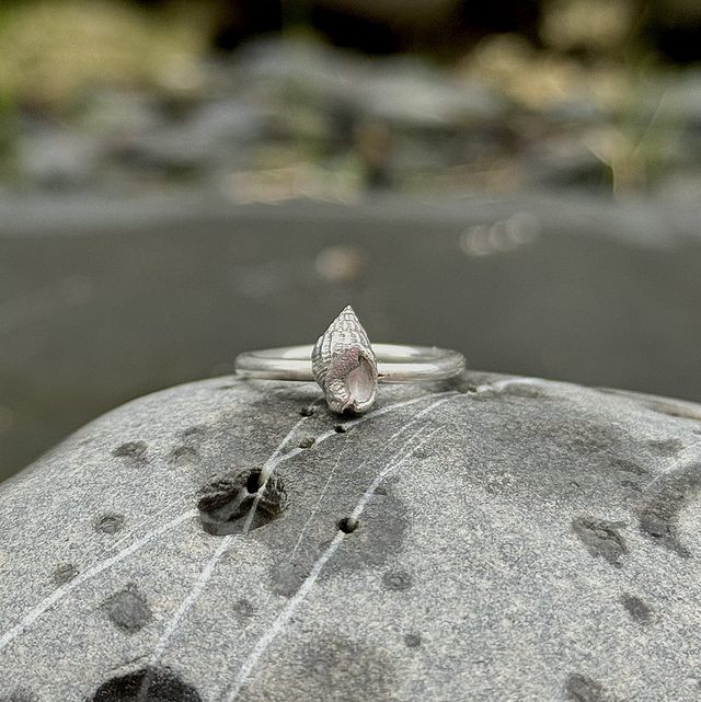 Silver Spiral Shell Ring