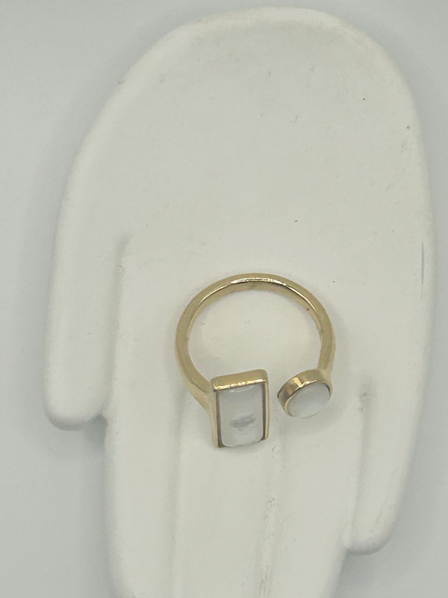 Stainless Steel Ring (SSR127J)