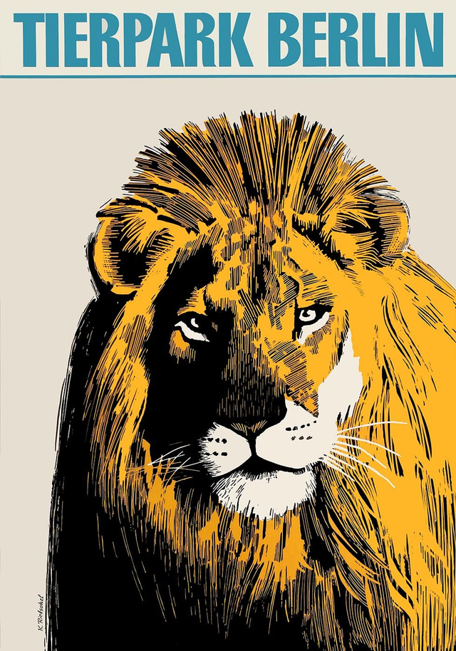 Zoo Tierpark Berlin Lion