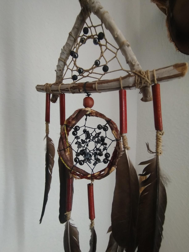 ABN-Salvia Witchy
