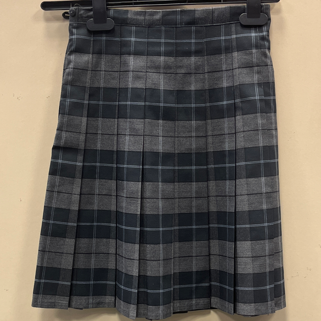 MINSTER SKIRT
