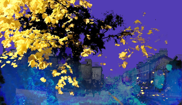 Newton Abbot Community Tree Textile Patch, co-designed by Joe Webster and Catherine West